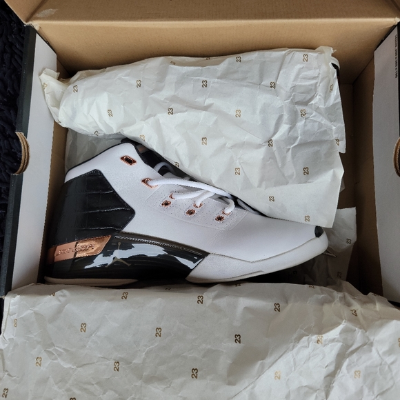 jordan 17 shoes